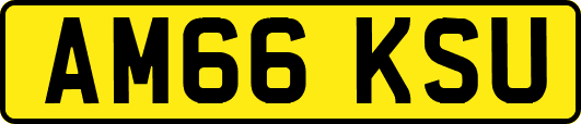 AM66KSU