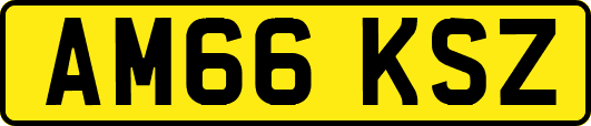 AM66KSZ