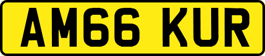 AM66KUR