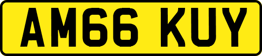 AM66KUY
