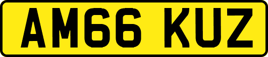AM66KUZ