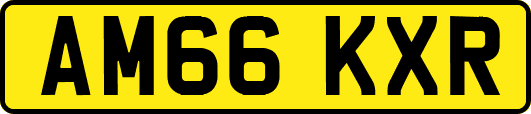 AM66KXR