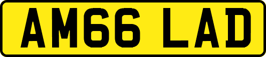 AM66LAD