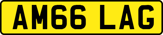 AM66LAG