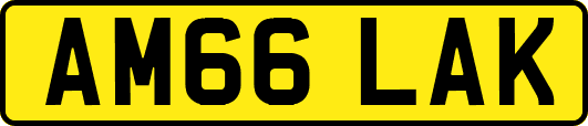AM66LAK