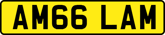 AM66LAM