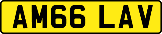 AM66LAV
