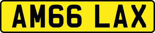 AM66LAX