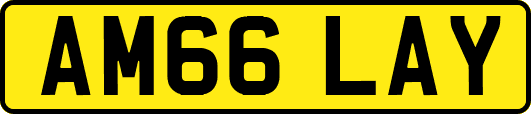 AM66LAY