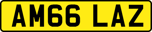 AM66LAZ