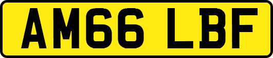 AM66LBF
