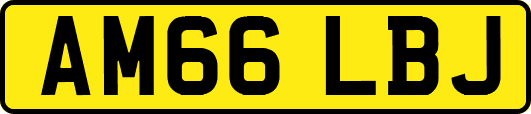 AM66LBJ