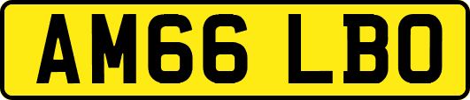 AM66LBO