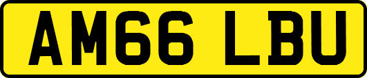 AM66LBU