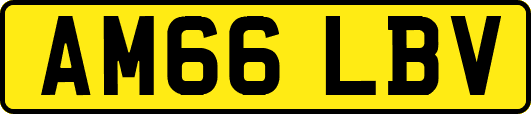 AM66LBV