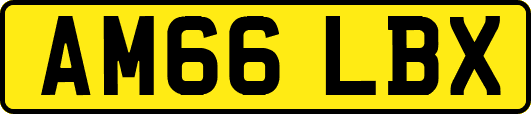 AM66LBX