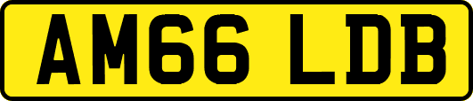 AM66LDB