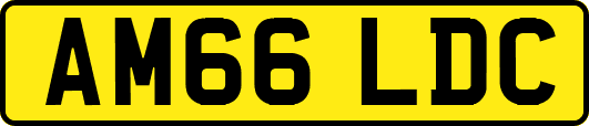AM66LDC