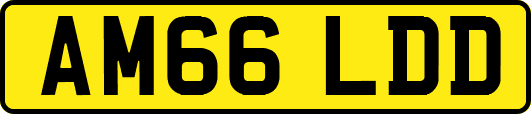 AM66LDD