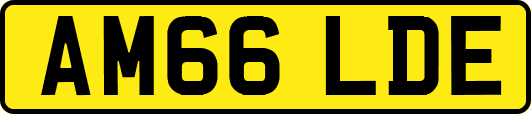 AM66LDE