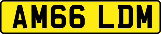 AM66LDM