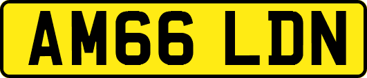 AM66LDN