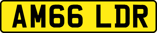 AM66LDR