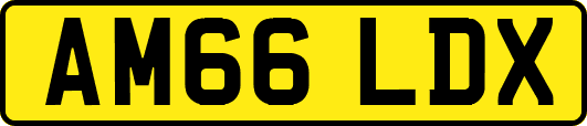 AM66LDX