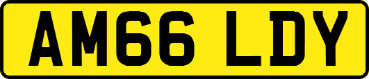 AM66LDY