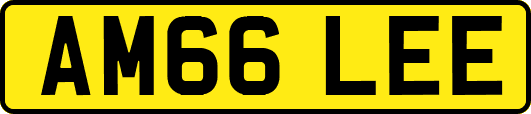 AM66LEE