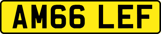 AM66LEF