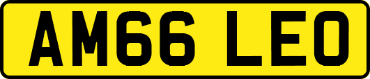 AM66LEO