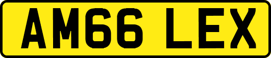 AM66LEX