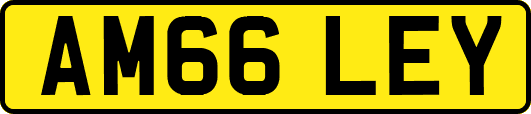 AM66LEY