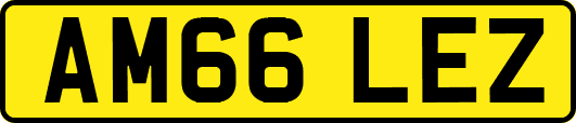 AM66LEZ