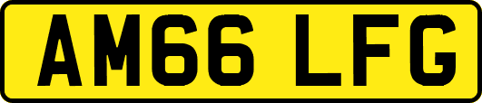 AM66LFG