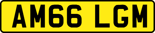 AM66LGM