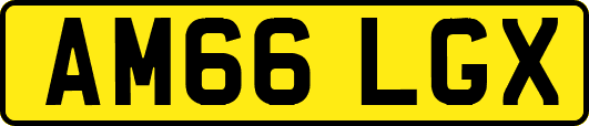 AM66LGX