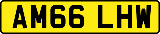 AM66LHW