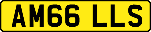 AM66LLS