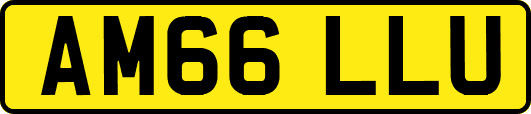 AM66LLU