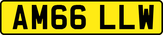 AM66LLW