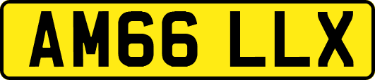 AM66LLX