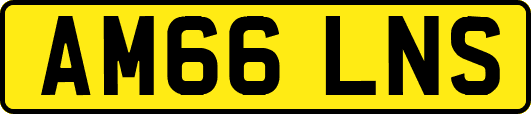 AM66LNS
