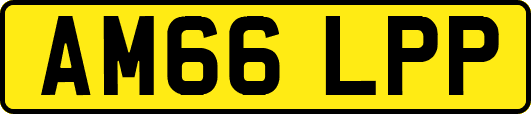 AM66LPP