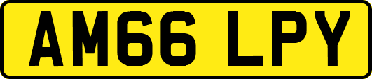 AM66LPY