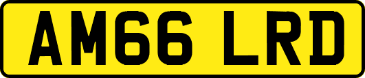 AM66LRD