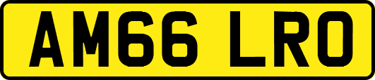 AM66LRO