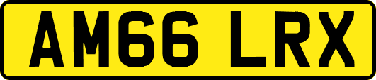 AM66LRX