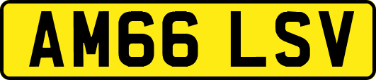 AM66LSV